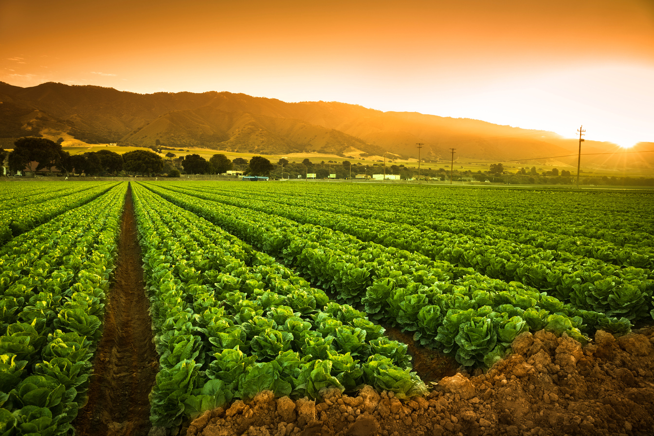 40-Year Family Agricultural Legacy