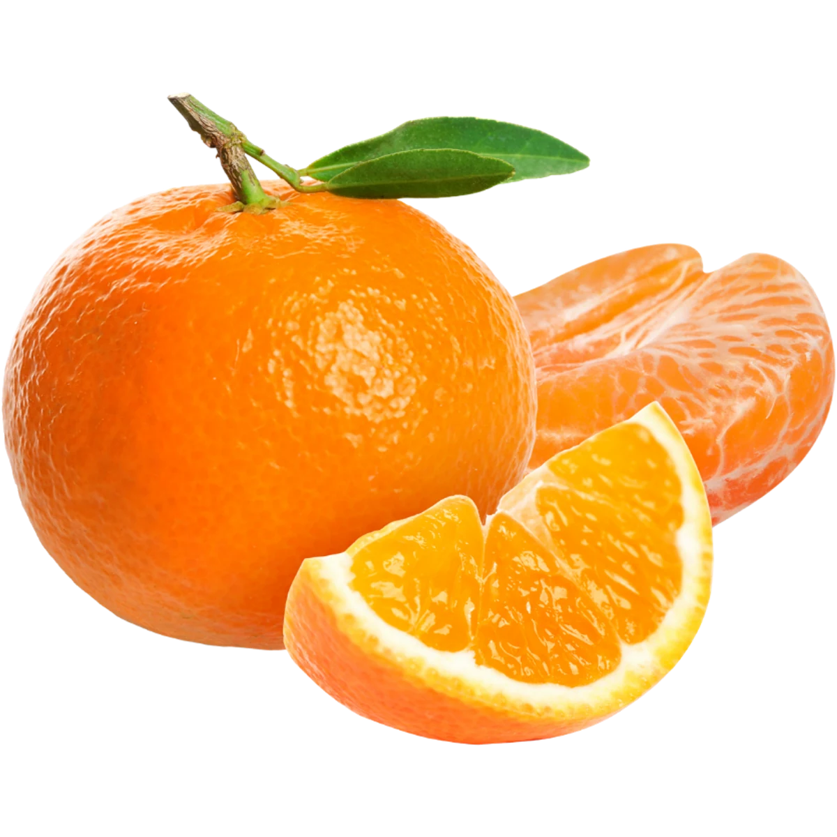 Fresh Egyptian Citrus and Fruits Export