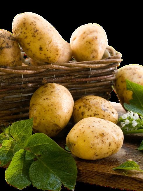 DeltaMasr Bellevue Sweet Potatoes
