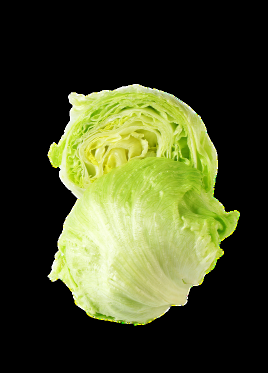 Egyptian Fresh Artichokes