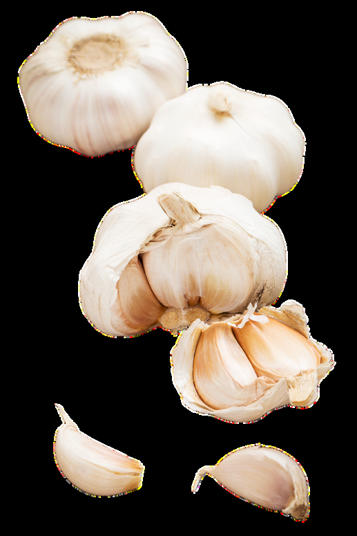 Egyptian Fresh & Dry Garlic