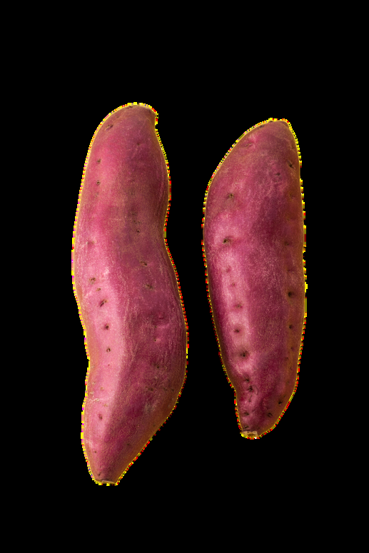 Egyptian Fresh Ware Potatoes