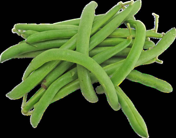Egyptian Fresh Green Beans