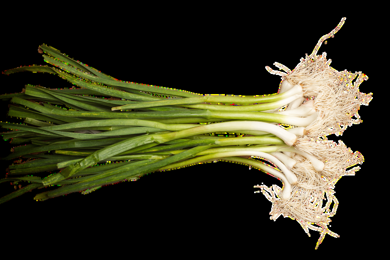 Egyptian Fresh Spring Onions